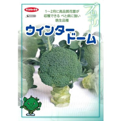 画像2: 送料無料　[ブロッコリー]　ウインタードーム　ペレット120粒　(株)サカタのタネ（実咲003177）