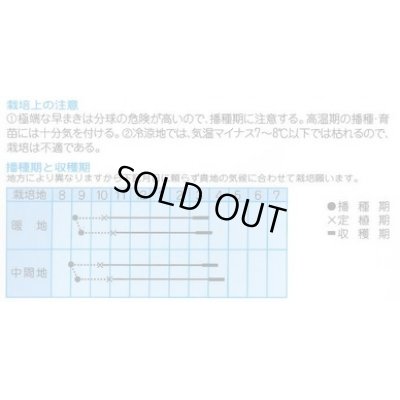 画像2: [たまねぎ]　トップゴールド305　3ml　（株）タカヤマシード