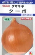 送料無料　[たまねぎ]　ターボ　5.5ml(約490粒)　タキイ種苗(株)　DF