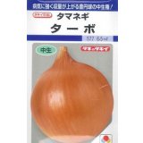 送料無料　[たまねぎ]　ターボ　5.5ml(約490粒)　タキイ種苗(株)　DF