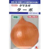 送料無料　[たまねぎ]　ターボ　5.5ml(約490粒)　タキイ種苗(株)　DF
