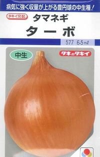 送料無料　[たまねぎ]　ターボ　5.5ml(約490粒)　タキイ種苗(株)　DF