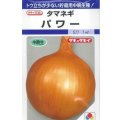 送料無料　[たまねぎ]　パワー　6ml　(約630粒)　タキイ種苗(株)　DF