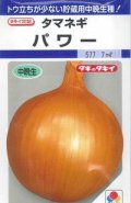 送料無料　[たまねぎ]　パワー　6ml　(約630粒)　タキイ種苗(株)　DF