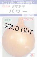 送料無料　[たまねぎ]　パワー　6ml　(約630粒)　タキイ種苗(株)　DF