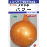送料無料　[たまねぎ]　パワー　6ml　(約630粒)　タキイ種苗(株)　DF