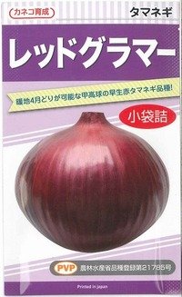 送料無料　[たまねぎ]　レッドグラマー（PVP)　　2.5ml　カネコ種苗（株）