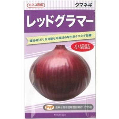 画像1: 送料無料　[たまねぎ]　レッドグラマー（PVP)　　2.5ml　カネコ種苗（株）