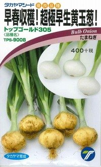 [たまねぎ] トップゴールド305 20ml (株)タカヤマシード