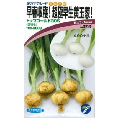 画像1: [たまねぎ] トップゴールド305 3ml（約380粒） (株)タカヤマシード