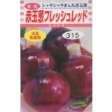 送料無料　[たまねぎ]　赤玉葱　フレッシュレッド　4ml　松永種苗(株)