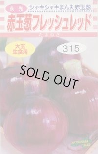 [たまねぎ]　赤玉葱　フレッシュレッド　4ml　松永種苗（株）