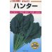 画像2: [シーダー種子]　ほうれんそう　ハンター　1粒×5cm間隔 (2)