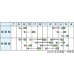 画像3: [シーダー種子]　ほうれんそう　ハンター　1粒×5cm間隔 (3)