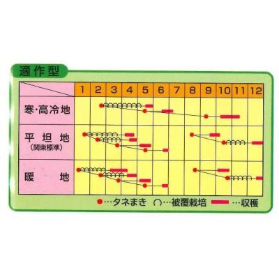 画像2: 送料無料　[かぶ]　きらりのゆめ　20ml　ノウリン交配