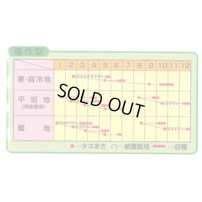 画像2: [かぶ] きらりのゆめ 3ml ノウリン交配