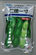 送料無料　[そら豆]　仁徳一寸　1dl(およそ29粒)　タキイ種苗