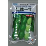 送料無料　[そら豆]　仁徳一寸　1dl(およそ29粒)　タキイ種苗