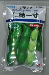 送料無料　[そら豆]　仁徳一寸　1dl(およそ29粒)　タキイ種苗