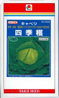 [キャベツ]　四季穫　2000粒　タキイ種苗（株）