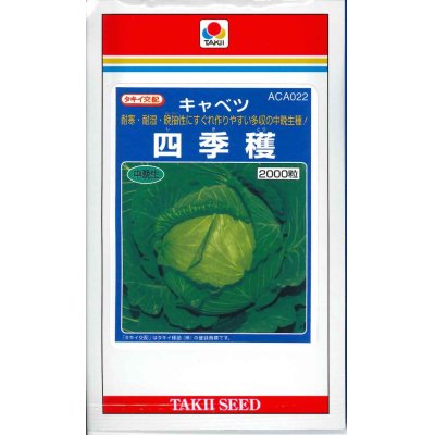 画像1: [キャベツ]　四季穫　2000粒　タキイ種苗（株）