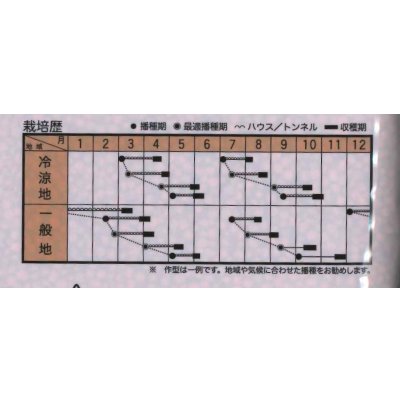画像2: 送料無料　[ほうれんそう]　ジュリオン　40ml　トキタ種苗(株)