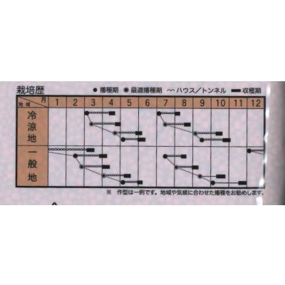 画像2: [ほうれんそう]　ジュリオン　Ｍ　3万粒　トキタ種苗（株）