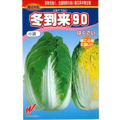 画像1: [白菜] 冬到来90 0.7ml 渡辺農事（株）