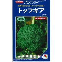 送料無料　[ブロッコリー]　トップギア　20ml　貴種(コートしてません)　タキイ種苗(株)