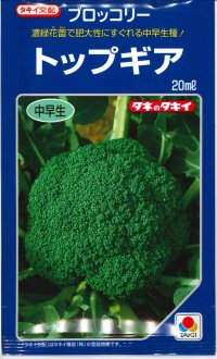 送料無料　[ブロッコリー]　トップギア　20ml　貴種(コートしてません)　タキイ種苗(株)