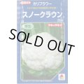 送料無料　[カリフラワー]　スノークラウン　20ml　タキイ種苗(株)