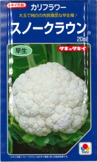 [カリフラワー]　スノークラウン　20ｍｌ　タキイ種苗（株）