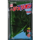 [ほうれんそう]　ジュリオン　3万粒（種子サイズ：Ｍ）　トキタ種苗(株)