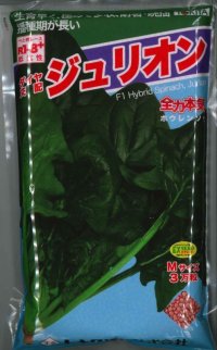 [ほうれんそう]　ジュリオン　3万粒（種子サイズ：Ｍ）　トキタ種苗(株)