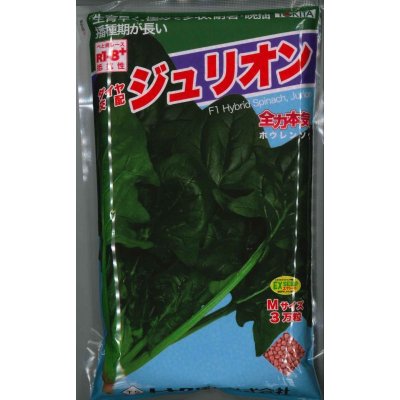画像1: [ほうれんそう]　ジュリオン　3万粒（種子サイズ：Ｍ）　トキタ種苗(株)