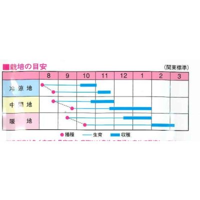 画像2: 送料無料　大根　あじわい秋冬大根　YR拓洋　4ml　渡辺農事（株）