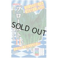 野菜種　ほうれんそう　プロースト11　20ml（約900粒）　ナント種苗（株）