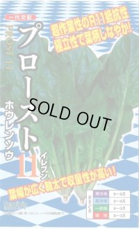 野菜種　ほうれんそう　プロースト11　20ml（約900粒）　ナント種苗（株）