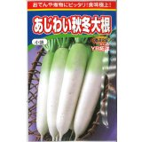 送料無料　大根　あじわい秋冬大根　YR拓洋　4ml　渡辺農事（株）