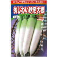 送料無料　大根　あじわい秋冬大根　YR拓洋　4ml　渡辺農事（株）