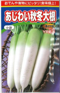送料無料　大根　あじわい秋冬大根　YR拓洋　4ml　渡辺農事（株）