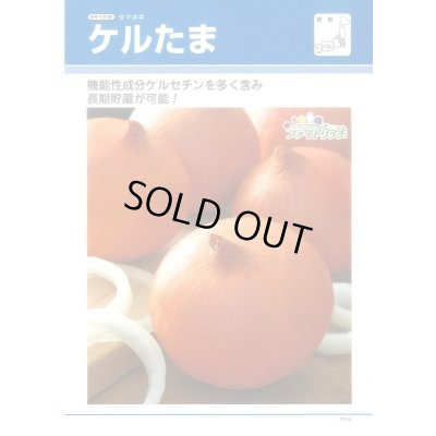 画像3: 送料無料　[たまねぎ]　ケルたま　4.5ml　(約390粒)タキイ種苗(株)　DF