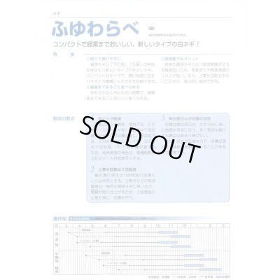 画像5: 送料無料　[ねぎ]　ふゆわらべ　1dl　タキイ種苗