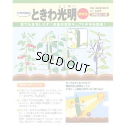 画像2: 送料無料　[キュウリ]　ときわ光明　20粒　(株)ときわ研究場