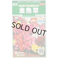 送料無料　花の種　金魚草　フローラルシャワーミックス　約86粒　　(株)サカタのタネ　実咲250（026223）