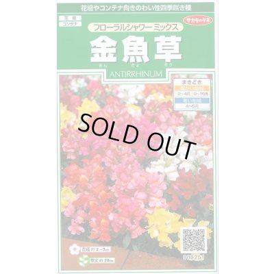 画像1: 花の種 金魚草 フローラルシャワーミックス 約90粒 (株)サカタのタネ 実咲250(026223)