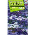 送料無料　花の種　フェリシア　スプリングメルヘン　0.4ml　タキイ種苗(株)NL200