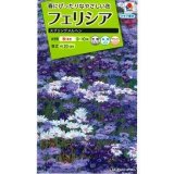 送料無料　花の種　フェリシア　スプリングメルヘン　0.4ml　タキイ種苗(株)NL200