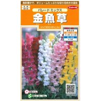 花の種　金魚草　パレードミックス　約145粒　サカタのタネ（株）実咲200