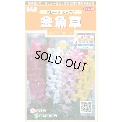 画像1: 花の種 金魚草 パレードミックス 約145粒 (株)サカタのタネ 実咲200（026316）